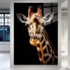 Giraffe Noir – žirafos paveikslas ant metalo su juodu fonu | SublimateIt.lt