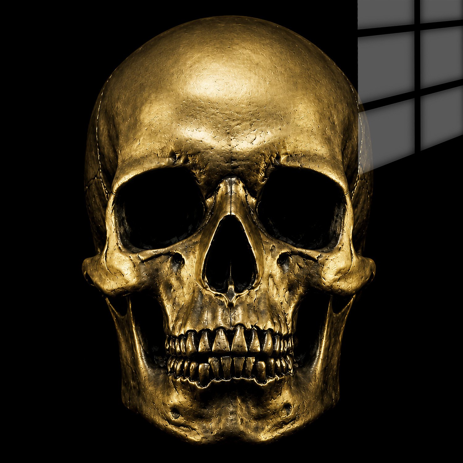 „GOLDEN MORTALITY“ – Auksinės kaukolės paveikslas ant aliuminio - Image 3